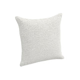 Throw Pillow (22" x 22")
