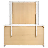 Felicity Dresser with Mirror