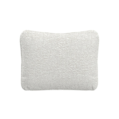 Throw Pillow (20" x 16")