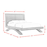 Allan Bed