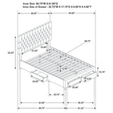 Soledad Panel Platform Storage Bed