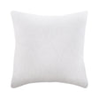 Outdoor Throw Pillow (23" x 23")