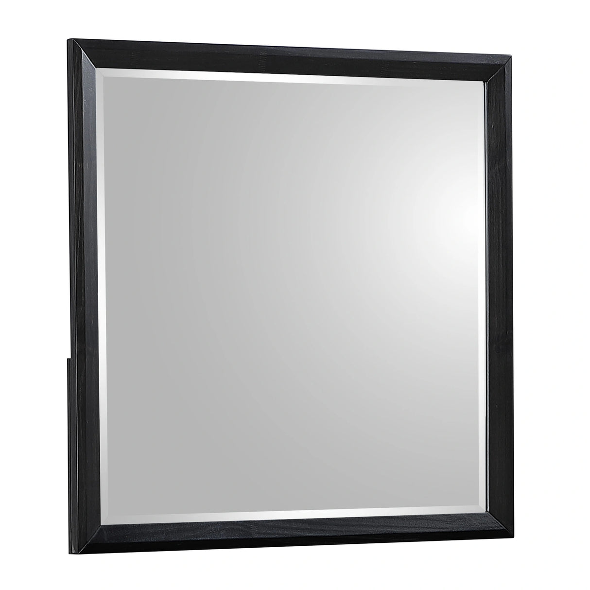 Houston Mirror