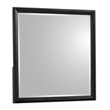 Houston Mirror