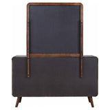 Robyn Dresser with Mirror