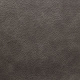 Kenmore P1 Lift Chair with Heat Massage in Simba DK Grey