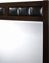 Elements International Lawrence Mirror in Espresso Lacquer