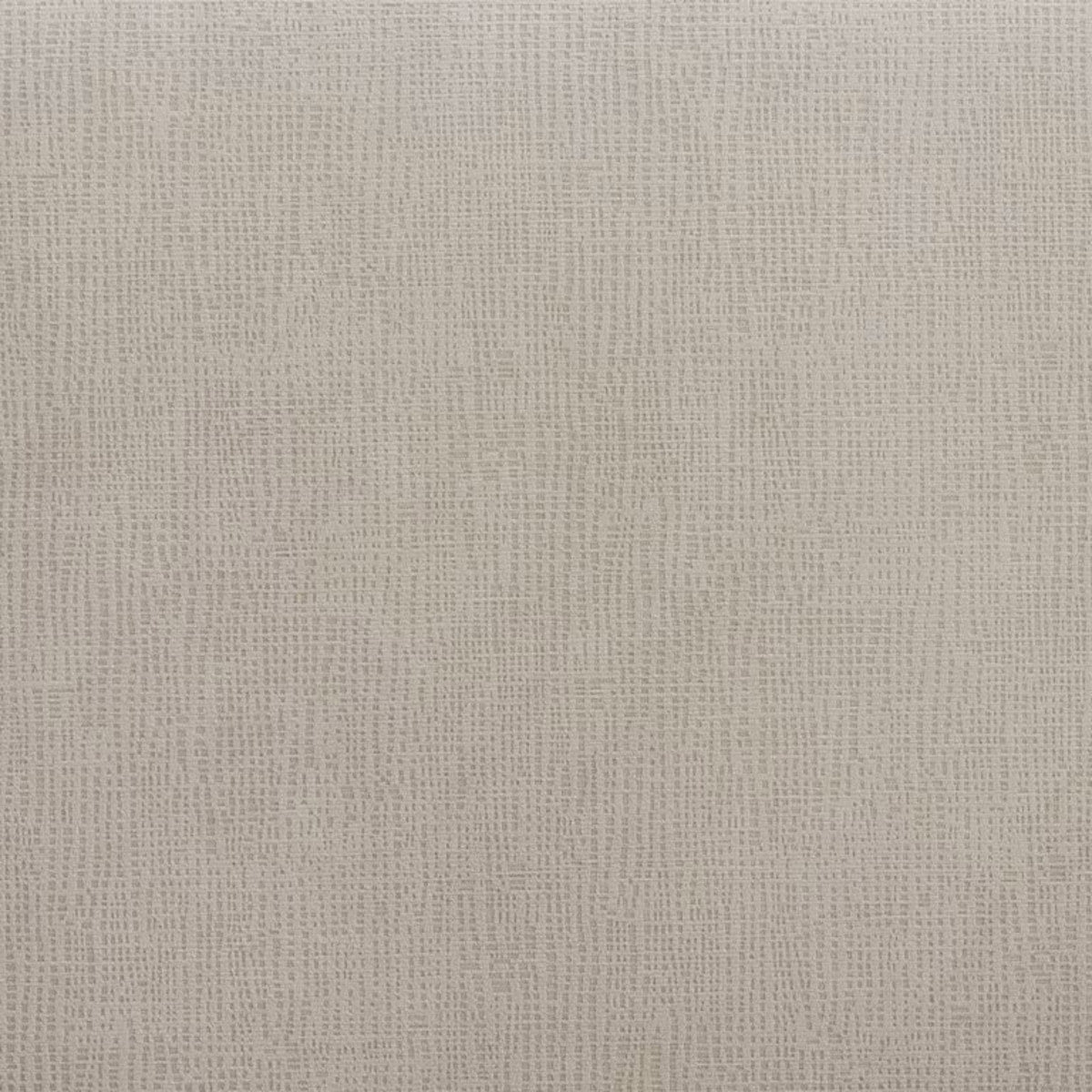 Elements International Maxwell Side Chair (Set of 2) in Champagne