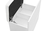 ELLA WHITE VANITY SET WITH STORAGE STOOL