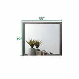 Galaxy Home Sierra Portrait Mirror in Gray