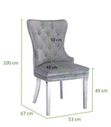 Galaxy Home Simba Stainless Steel Legs Dining Chair (Set of 2) in Silver