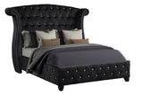 Galaxy Home Sophia Queen Bed in Black
