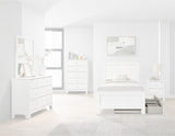 Elements International Catalina Youth Storage Trundle in White image